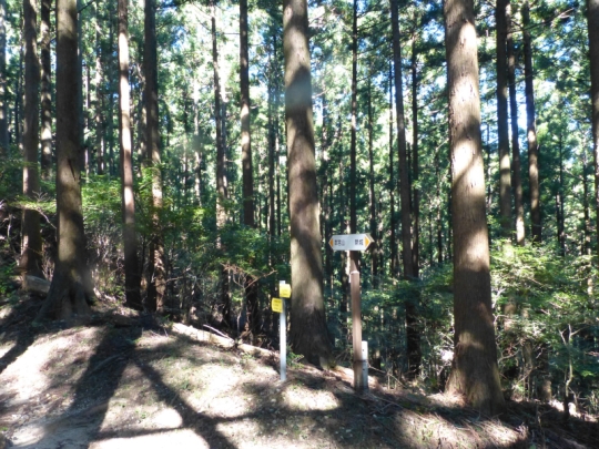 登山道